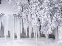 Ice stalactite