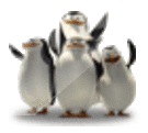 Penguins from Madagascar