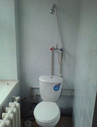 2in1: Shower Toilet