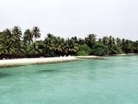 maldive beach 03