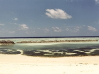 maldive beach 06