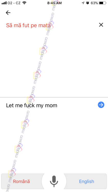 Translation - Let me f**k my mom