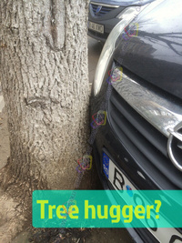 Tree hugger?