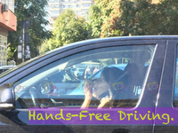 Hands-free Driving. Sort of.